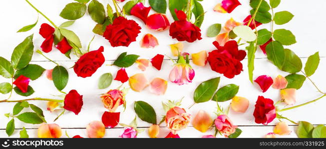 Flowers composition. Red roses isolated on white background. Flat lay, top view. Wide photo