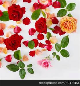 Flowers composition. Red roses on a white wooden background. Flat lay, top view.