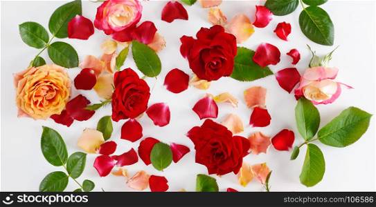 Flowers composition. Red roses on a white wooden background. Flat lay, top view. Wide photo.