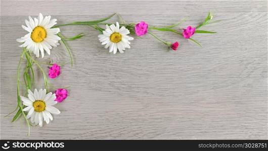 Flowers composition.The frame is made of flowers of chamomiles a. Flowers composition.The frame is made of flowers of chamomiles and phlox. Flat lay, top view. Free space for text. Wide photo.