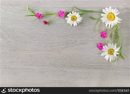 Flowers composition.The frame is made of flowers of chamomiles and phlox. Flat lay, top view. Free space for text.