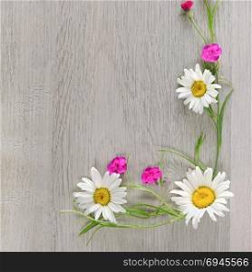 Flowers composition.The frame is made of flowers of chamomiles and phlox. Flat lay, top view. Free space for text.
