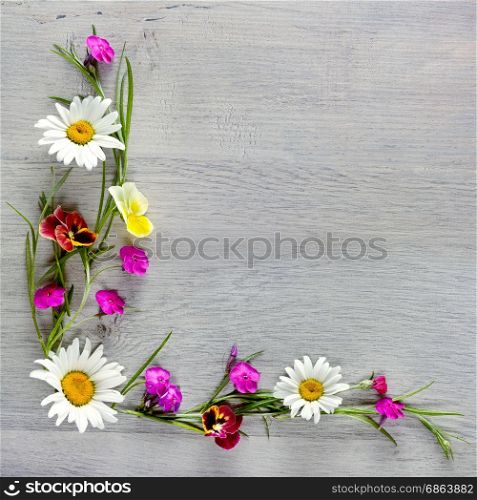 Flowers composition.The frame is made of flowers of chamomiles, violets and phlox. Flat lay, top view