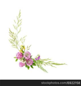 Flowers fram composed of wildflowers and grass, isolated on white background. Flat lay, top view