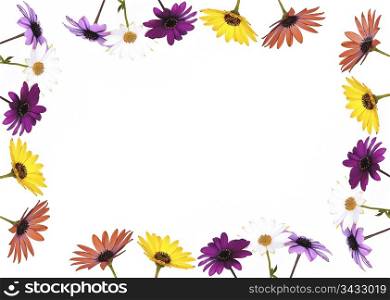 Flowers framework.