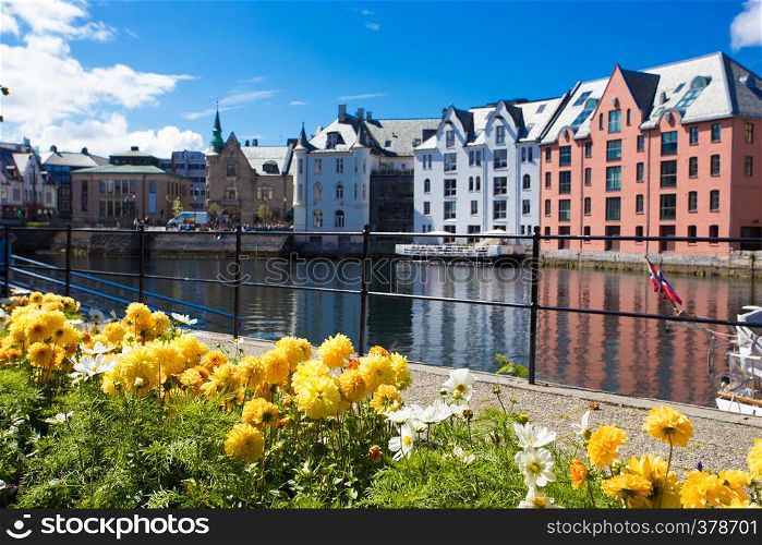 flowers growing at the streets of famous norwegian town Alesund