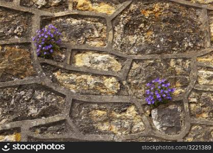 Flowers Growing in Man Made Stone Shapes