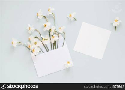 flowers. High resolution photo. flowers. High quality photo
