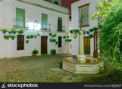 Flowers in a flowerpot on the white walls and a fountain in a traditional Spanish patio at night. Andalusia. Spain.. Traditional Spanish patio in Cordoba.