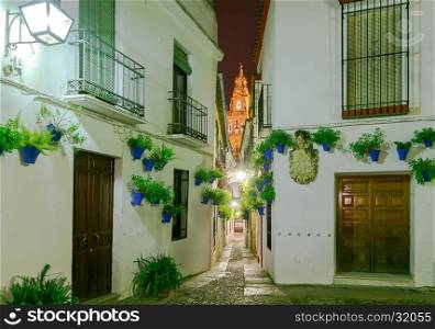 Flowers in a flowerpot on the white walls, the famous Flower Street and Bell Tower Mezquita in Cordoba at night. Andalusia. Spain.