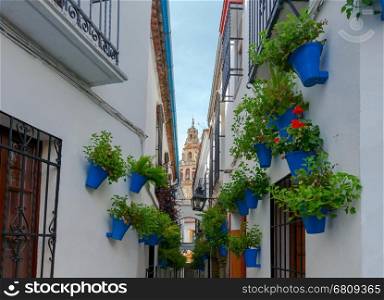 Flowers in a flowerpot on the white walls, the famous Flower Street and Bell Tower Mezquita in Cordoba at night. Andalusia. Spain.