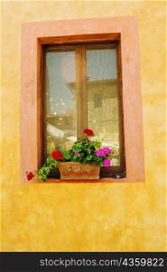 Flowers in a window box on a window sill, Monteriggioni, Siena Province, Tuscany, Italy