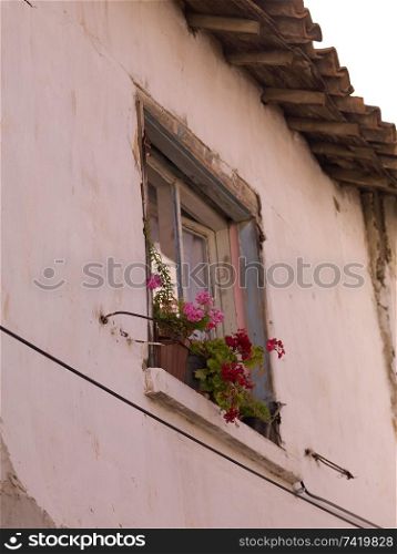 Flowers in a window in Kusadasi Turkey
