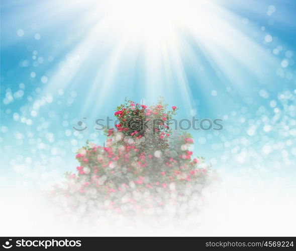 flowers in blossom against blue sky and shining sun