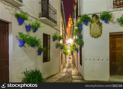Flowers in flowerpot on the white walls on famous Flower street Calleja de las Flores and Bell Tower Mezquita in Cordoba at night, Andalusia, Spain