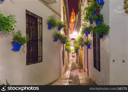Flowers in flowerpot on the white walls on famous Flower street Calleja de las Flores in old Jewish quarter of Cordoba and Bell Tower Mezquita at night, Andalusia, Spain
