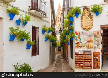 Flowers in flowerpot on the white walls on famous Flower street Calleja de las Flores in old Jewish quarter of Cordoba and Bell Tower Mezquita, Andalusia, Spain