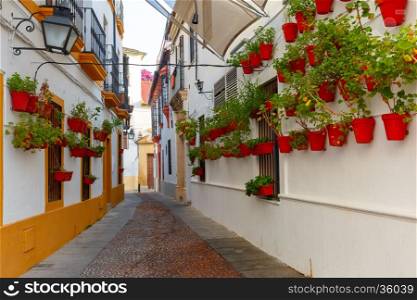 Flowers in flowerpot on the white walls on street of Cordoba, Andalusia, Spain