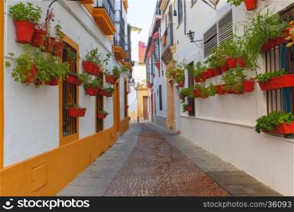 Flowers in flowerpot on the white walls on street of Cordoba, Andalusia, Spain