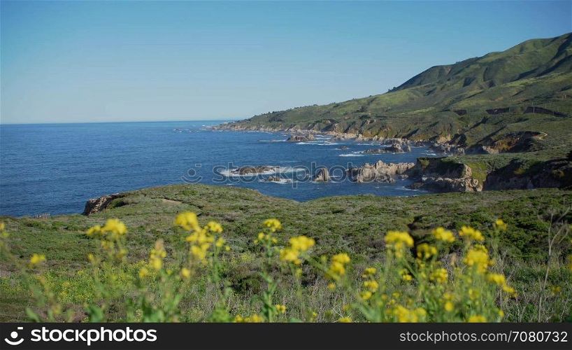 Flowers in foreground of rocky Big Sur cove