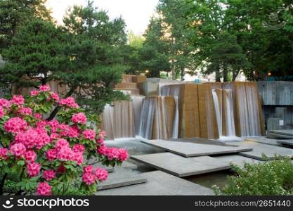 Flowers in garden with waterfall in background