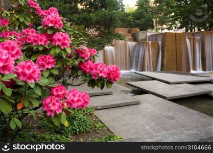 Flowers in garden with waterfall in background