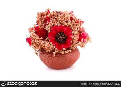 Flowers in vase isolated on white background.