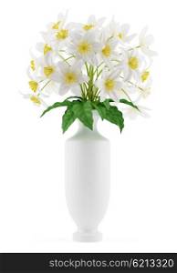 flowers in vase isolated on white background. 3d illustration