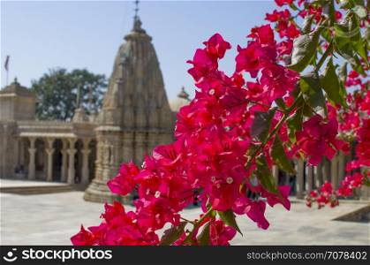 flowers of against the background Ancient Jain Temples of Great Architectural Beauty in India