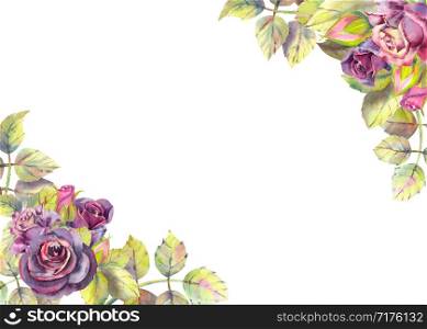 Flowers of dark roses, green leaves, composition. Horizontal frame orientation . The concept of the wedding flowers. Flower poster, invitation. Watercolor compositions for the design of greeting cards or invitations. Flowers of dark roses, green leaves, composition. Horizontal frame orientation . The concept of the wedding flowers. Flower poster, invitation. Watercolor compositions for the design of greeting cards or invitations.