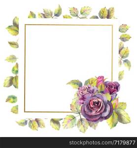 Flowers of dark roses, green leaves, composition in a geometric Golden frame. The concept of the wedding flowers. Square frame. Flower poster, invitation. Watercolor compositions for the design of greeting cards or invitations. Flowers of dark roses, green leaves, composition in a geometric Golden frame. The concept of the wedding flowers. Square frame. Flower poster, invitation. Watercolor compositions for the design of greeting cards or invitations.