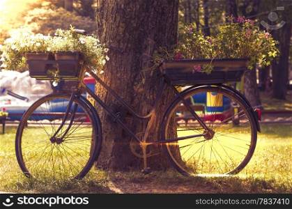 flowers on a black bicycle in the park