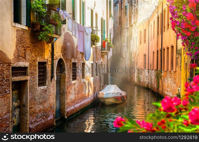 Flowers on a canal in Venice, Italy. Flowers in Venice