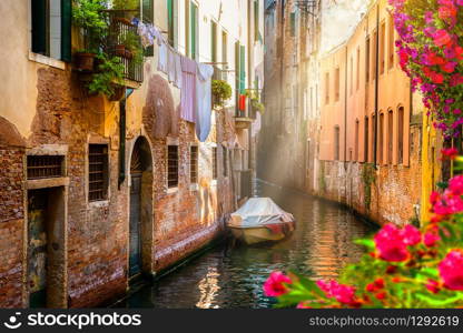 Flowers on a canal in Venice, Italy. Flowers in Venice