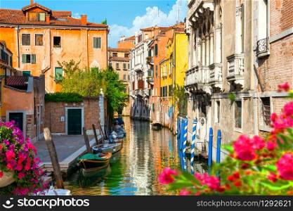 Flowers on a canal in Venice, Italy. Flowers on a canal