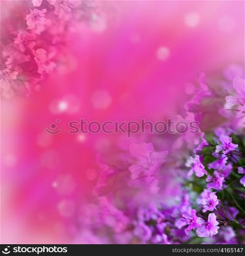 Flowers on abstract background