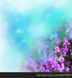 Flowers on abstract background