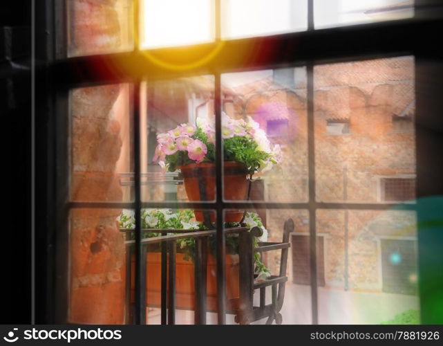 Flowers on balcony in rays of the sun
