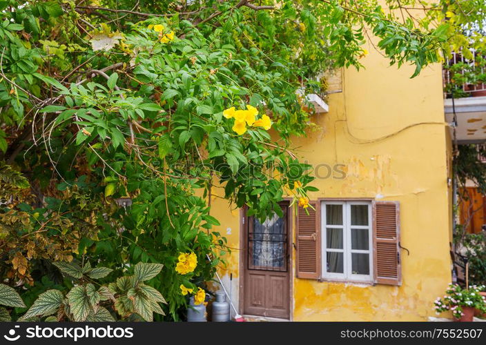 Flowers on narrow street among the old houses