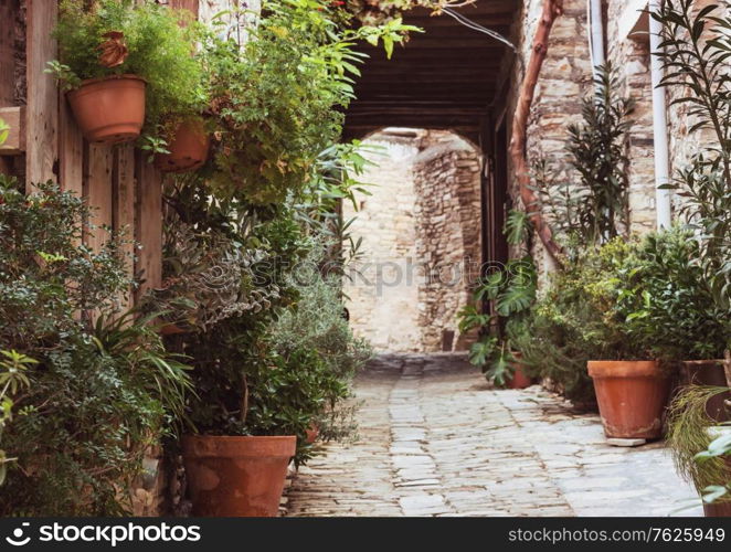 Flowers on narrow street among the old houses