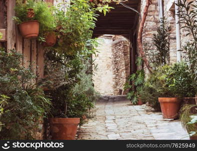 Flowers on narrow street among the old houses