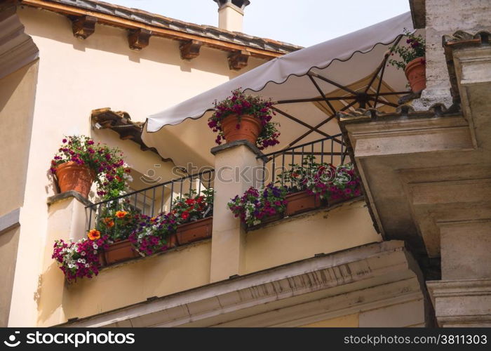 Flowers on the terrace of the Italian house