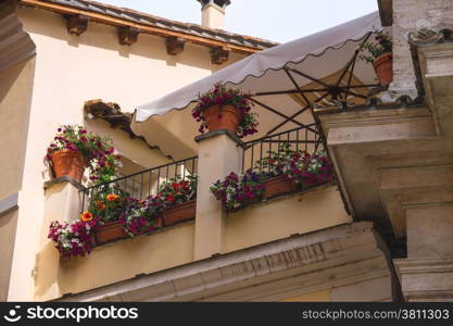 Flowers on the terrace of the Italian house