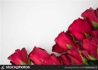 flowers, valentines day and holidays concept - close up of red roses on white background. close up of red roses on white background