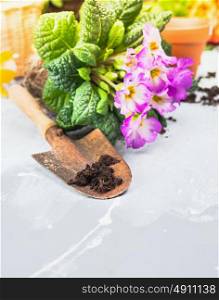flowers with soil and root on garden table