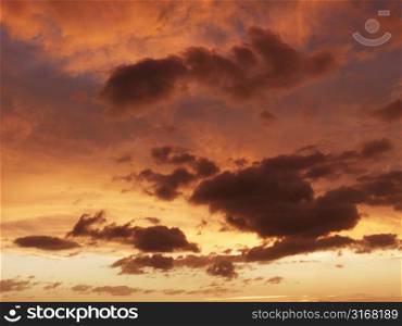 Fluffy clouds in orange-colored sky at sunset.