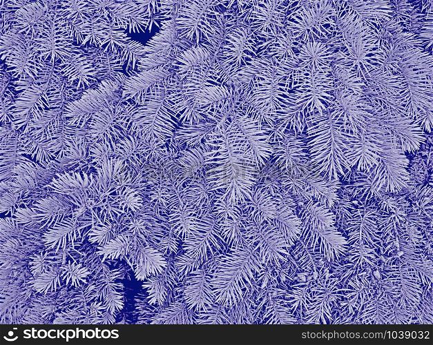Fluffy fir branches in pale blue hues as a winter or Christmas pattern, raster photo illustration