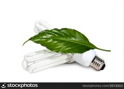 fluorescent lamps and green leaf isolated on a white background