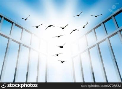 fly for freedom, overcome the difficult gate