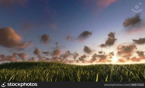 Flying above grass sunrise timelapse, night to day